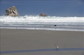 Sandfly Bay